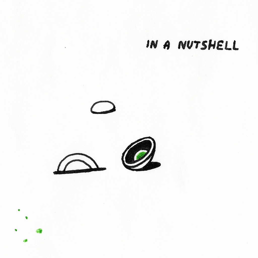 In a Nutshell by 